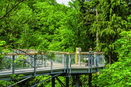 Baumwipfelpfad Harz - Bad Harzburg 