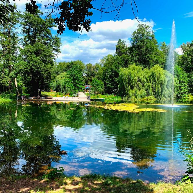 Gondelteich im Stadtpark Nordhausen