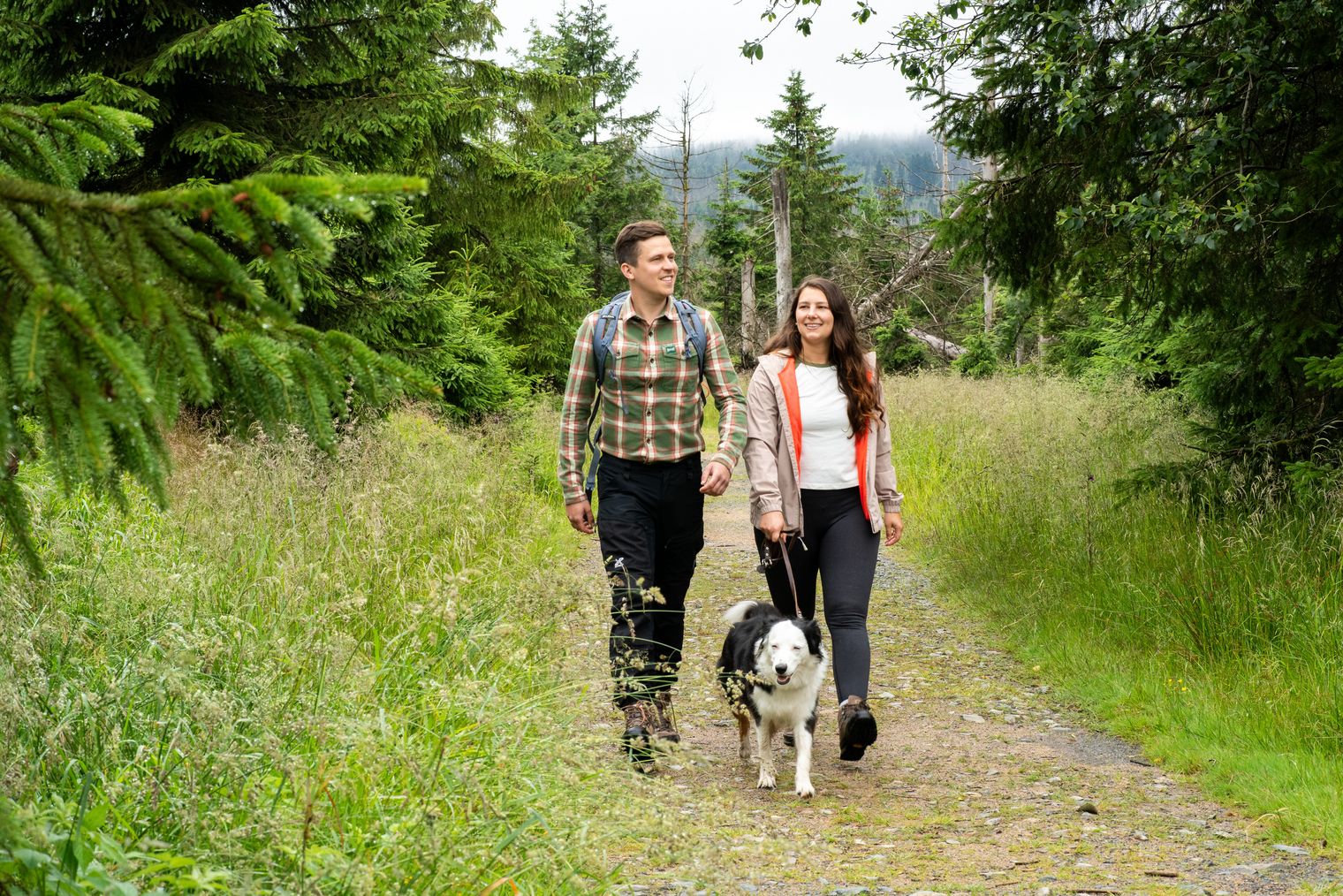Entspannte Wanderung mit Hund auf dem idyllischen Märchenweg im Nationalpark Harz.