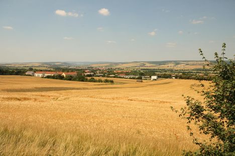 Blick auf Kelbra