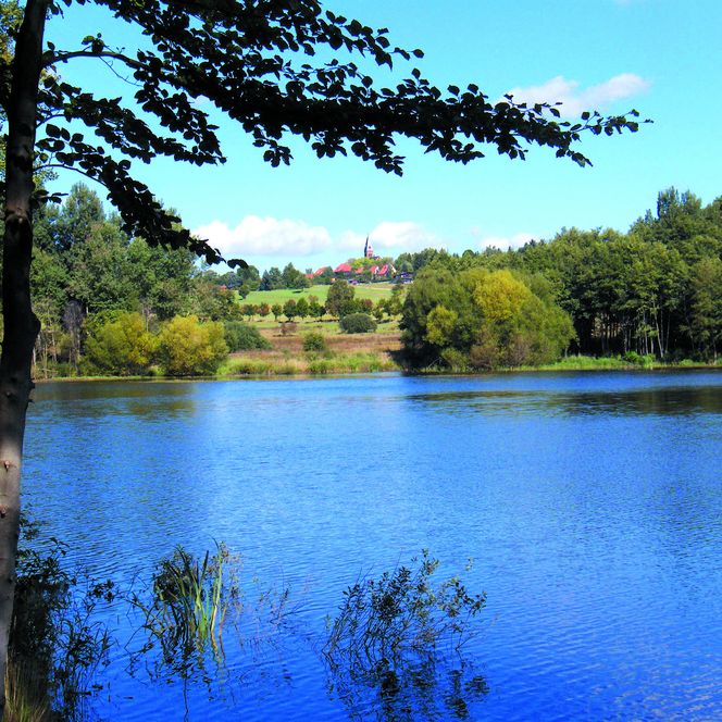 Gondelvijver Friedrichsbrunn