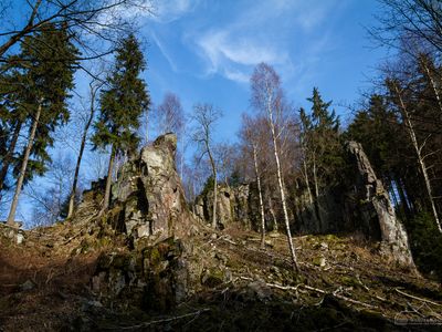 Fotowanderung in das Steinmühlental im Naturpark Südharz