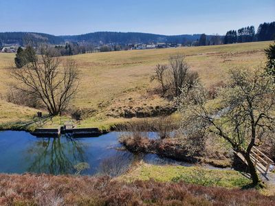 Das Bild zeigt den Ursprung des Flusses Innerste eingebettet in Bergwiesen. 