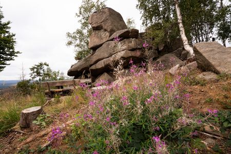 Rastplatz für Wanderer bei Schierke am Brocken.
