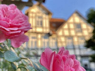 Fachwerk im Harz