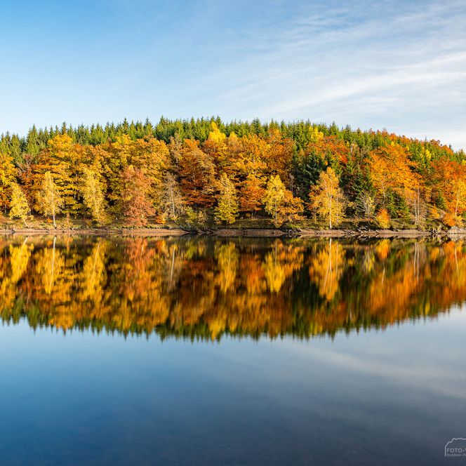 Outdoor-Fotokurse im Harz - bunter Laubwald im Herbst