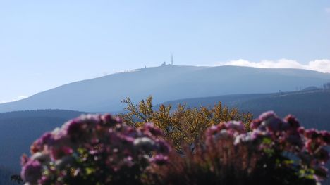 Brockenblick Harz