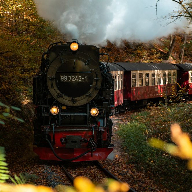 Harzer Schmalspurbahn (c) fotoweberei, Luca Weber