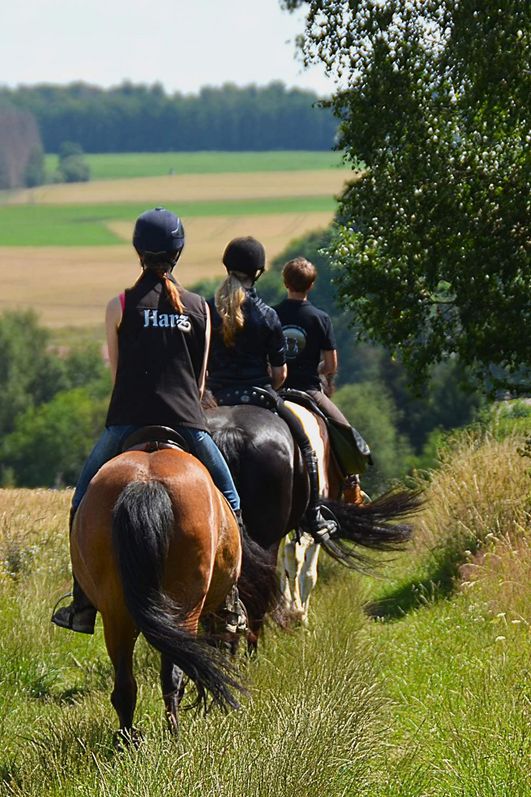 Wanderreiten im Harz - Hasselfelde - ruhiger Ritt
