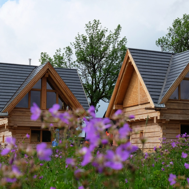 die ausspanne in Buntenbock - Ferienhäuser