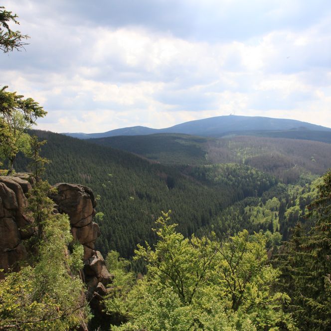 Blick auf die hahnenkleeklippen bei Braunlage