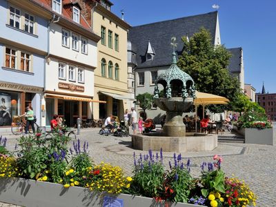 Das Bild zeigt den Markt in Aschersleben im Sommer. 