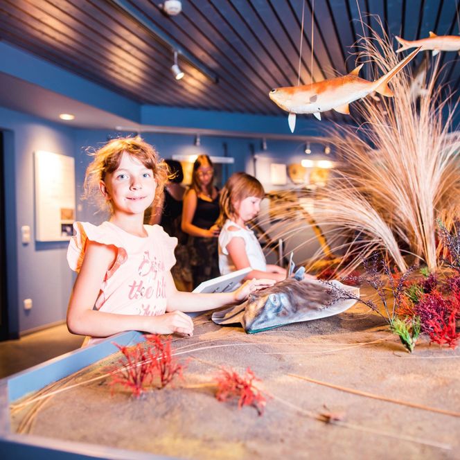 Naturzeitmuseum Meeresboden