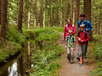Wandern im Ilsetal