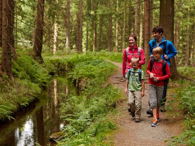 Wandern im Ilsetal