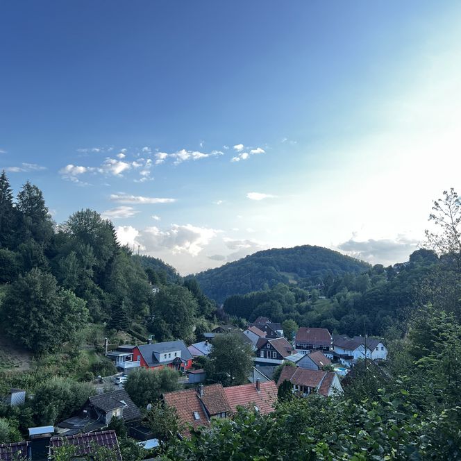 Ortsansicht Wieda - Gemeinde Walkenried