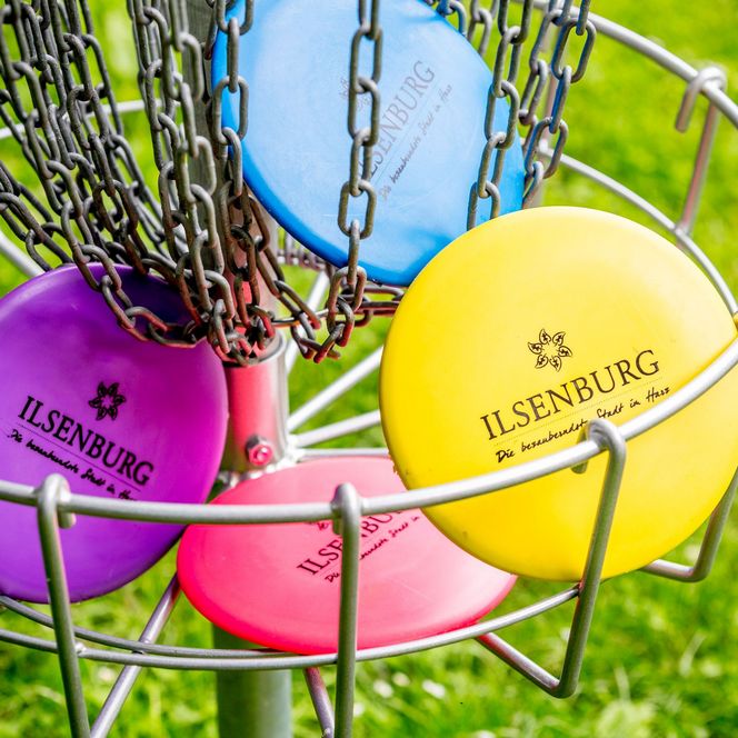 DiscGolf Park Ilsenburg