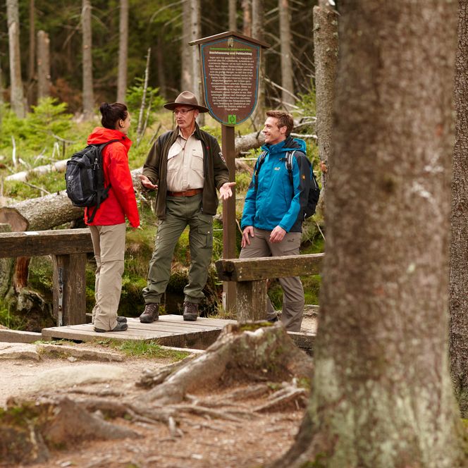Wanderer im Gespräch mit einem Nationalpark-Ranger in der Oberharzer Wasserwirtschaft.
