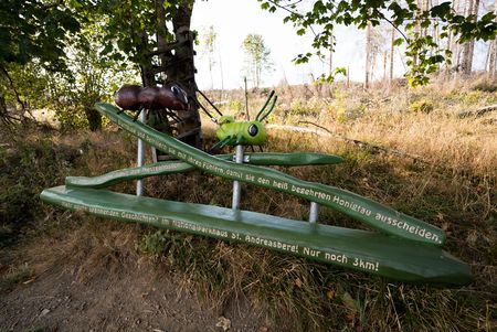 Die Erlebnisinsel "Ameisen" ist eine willkommene Abwechslung für Wanderer auf dem Harzer-Hexen-Stieg .