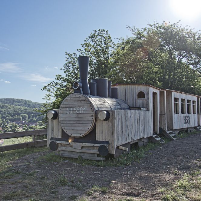 Holzdampflok bei Neustadt
