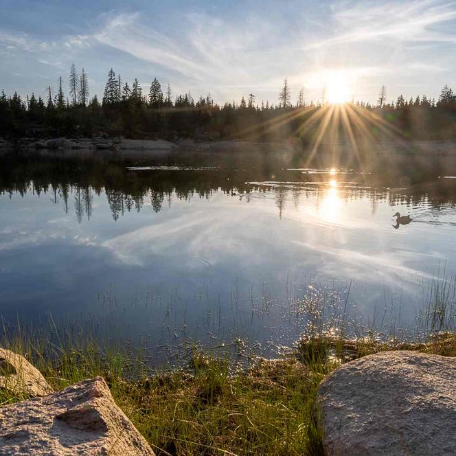 cellapix - Sonnenaufgang am Oderteich