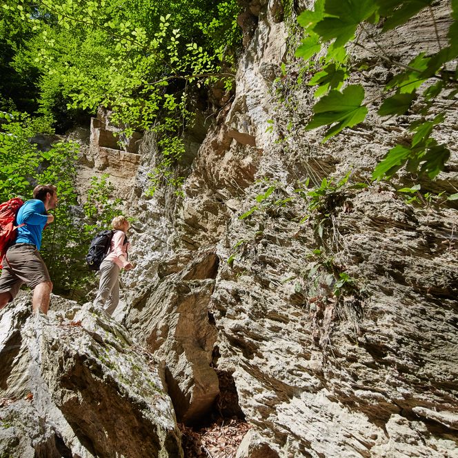 Karstwanderweg an der Dinsterbachschwinde bei Questenberg