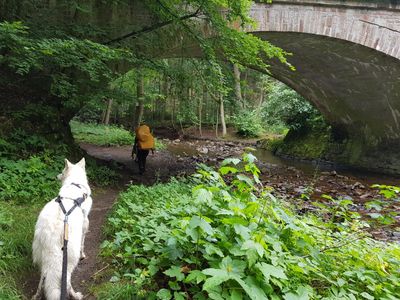 Unterwegs im Eckertal