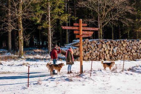 Winterwandern in Braunlage
