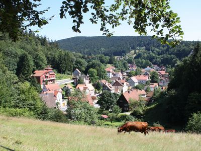 Ortsansicht Bad Grund