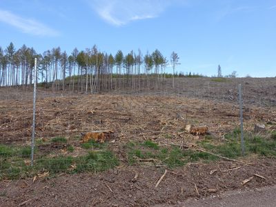 Umzäunung der Fläche Plessenburg