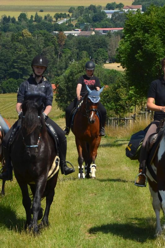 Wanderreiten im Harz - Hasselfelde - Ausritt