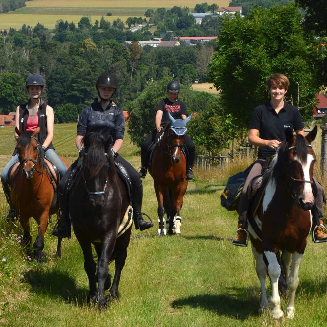 Wanderreiten im Harz - Hasselfelde - Ausritt