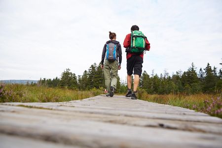 Wanderweg im Nationalpark Harz