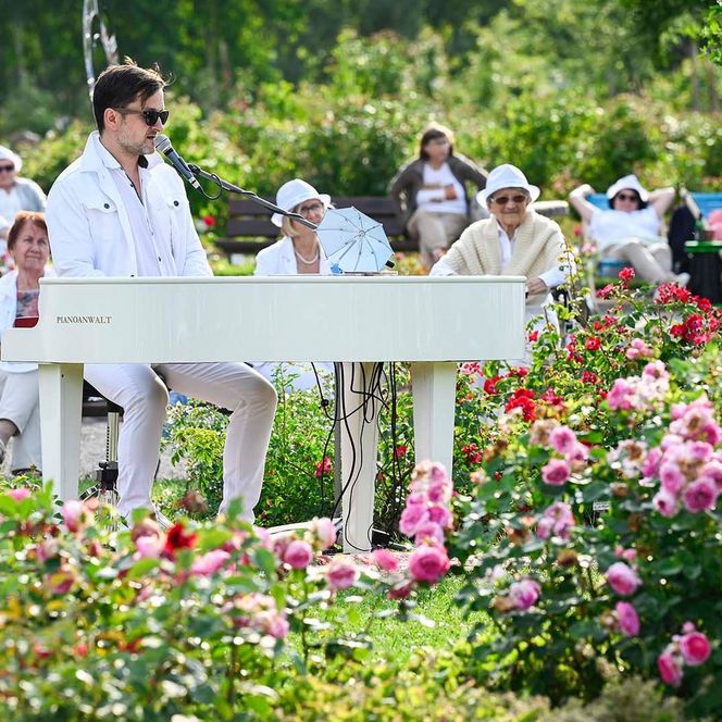 Picknick Konzert in Weiß im Europa-Rosarium Sangerhausen