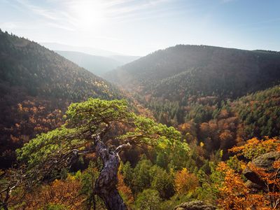 Ilsestein im Herbst