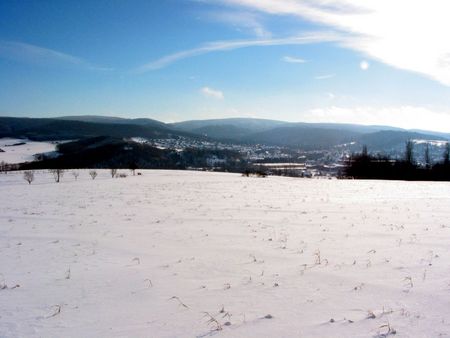 Blick auf Seesen im Winter