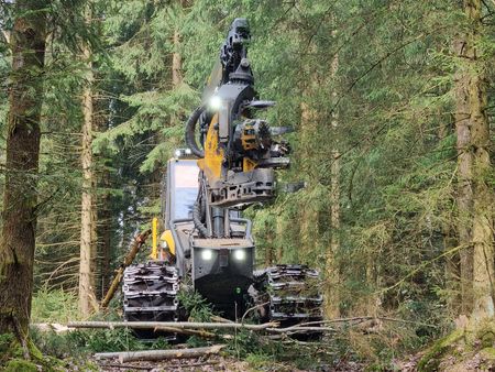 Ein Harvester bei der Holzenernte