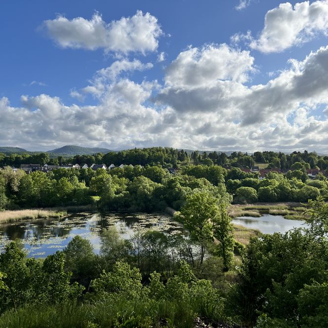 Ortsansicht Walkenried