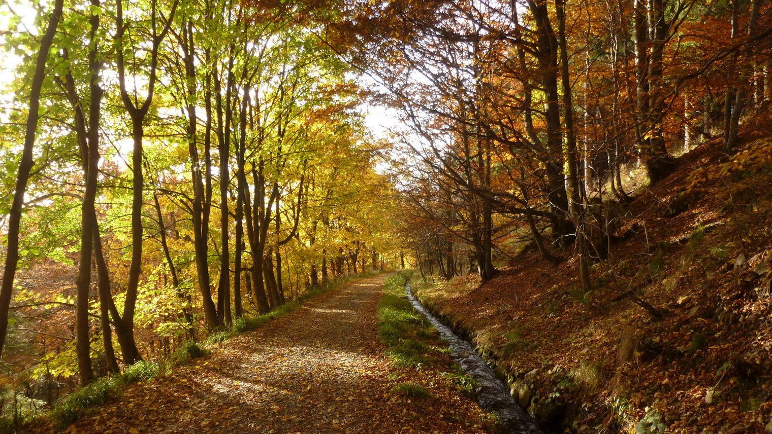 Wandern im Harz - Kurzprogramme