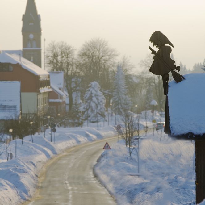 Friedrichsbrunn in de winter