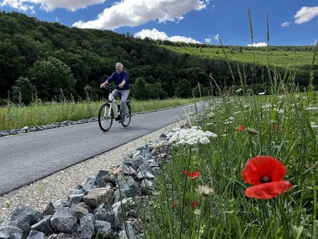 Fahrradweg in die Steinzeit 