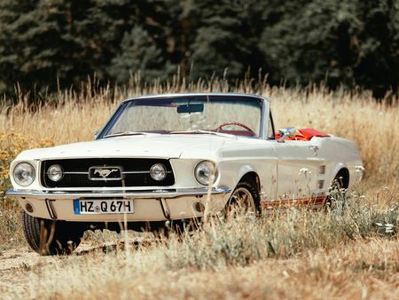 Mustang Harzcruiser