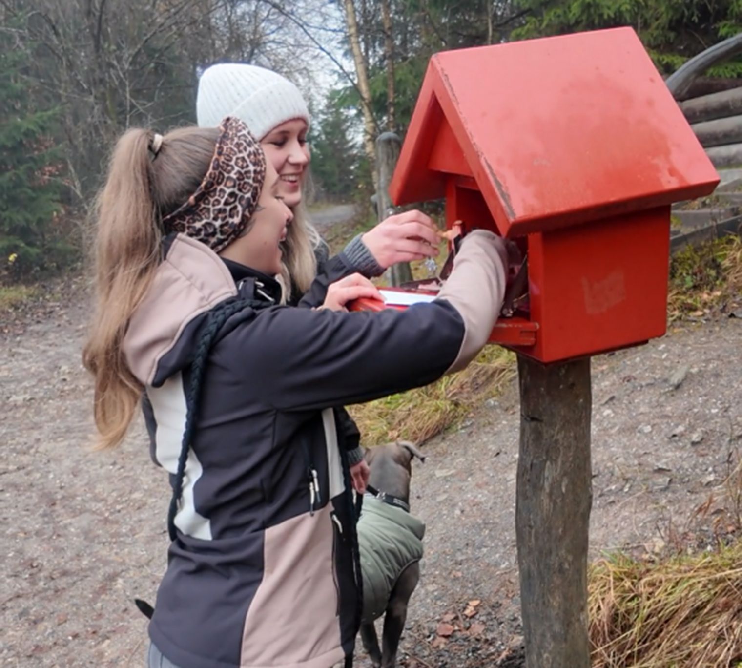 Liebesbankweg zum Bocksberg