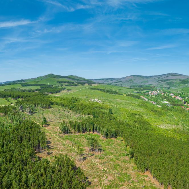 Barenberg bei Elend mit Blick auf Brocken