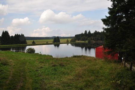 Oberharzer Wasserwirtschaft - Buntenbocker Teiche