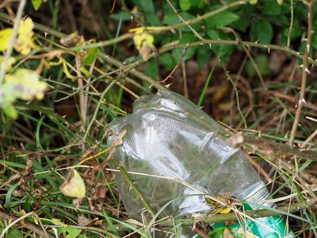 weggeschmissene Plastikflasche