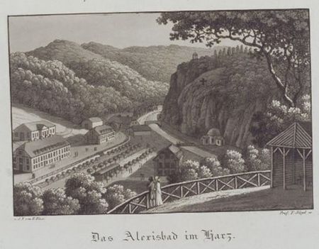 Blick auf Alexisbad vom Schlotheimplatz mit der Birkenhütte von Hintze 