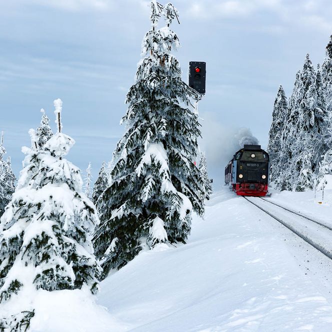 Outdoor-Fotokurse im Harz - Harzer Schmalspurbahn im Schnee