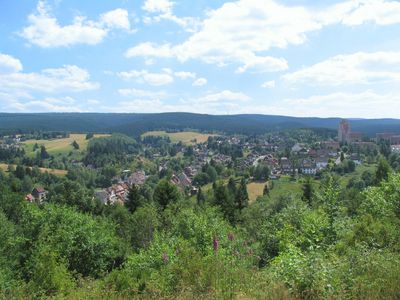 Das Bild zeigt einen Blick auf den Ort Altenau.