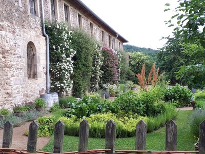 Kloster Michaelstein - Rosenpracht in den Klostergärten